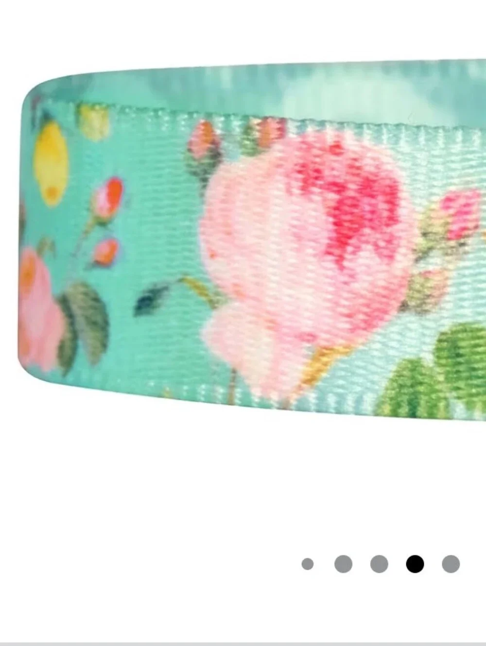 Blueberry Pet Floral Mint Adjustable Dog Collar Pink and Green Size L